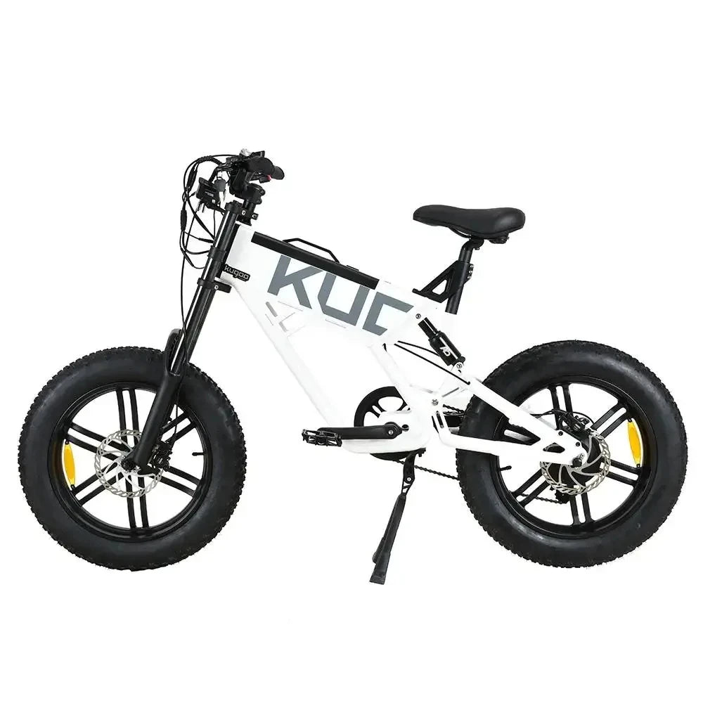 New T01 Ebike 20 inch 1000W Electric Bike For Adults Electric Bicycle with 48V 13AH Removable Battery Dual Shock Absorber E-Bike